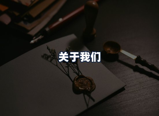 关于我们